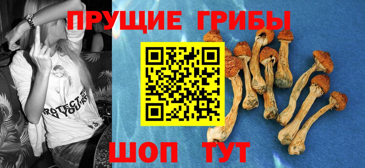 Псилоцибиновые грибы мухоморы  Вход с VPN  Борзя  Псилоцибиновые грибы Psilocybine cubensis 