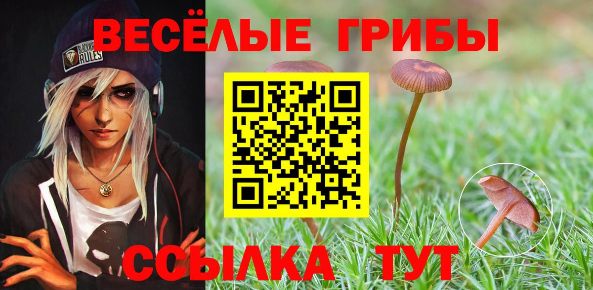 Галлюциногенные грибы мицелий Борзя